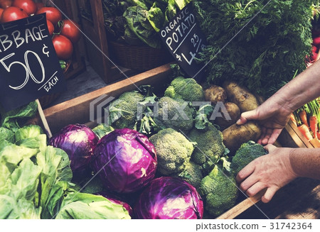 图库照片: greengrocer preparing organic fresh agricultural