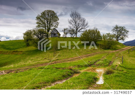 woodshed,prosperous 图库照片: woodshed among trees on a hill by the road