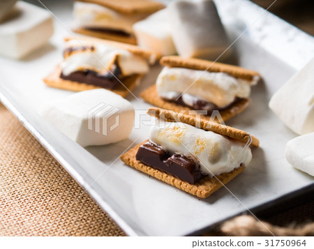 图库照片: home made smore marshmallow treat for kids