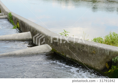 图库照片: 在鱼道和玉川河的河边的蓝天