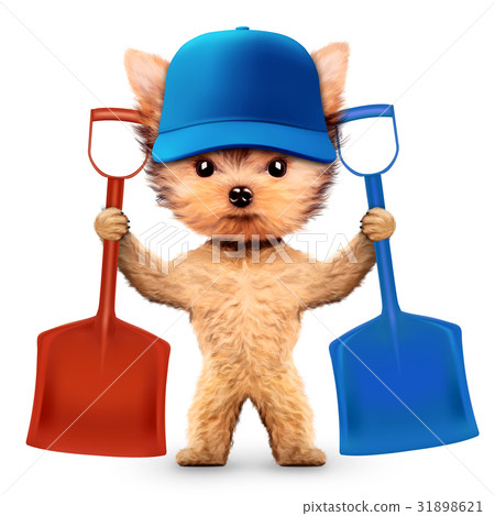 插图素材: funny dog with shovel isolated on white