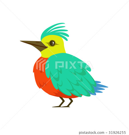 插图素材: small bird with turquoise wings, long nose and a