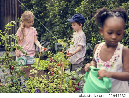 图库照片: children are in the garden watering the plants