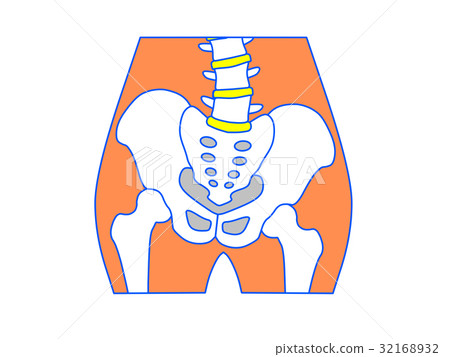 插图素材: 倾斜的骨盆