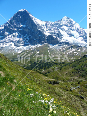 图库照片 艾格峰北壁和高山植物