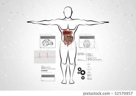 图库插图: human body with digestive system