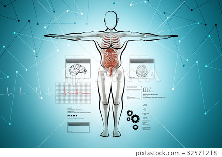 图库插图: anatomy of human body