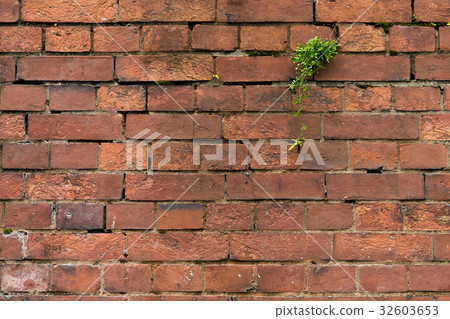 图库照片: red brick wall texture