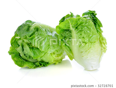 图库照片: fresh baby cos (lettuce) on white background