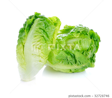 照片素材(图片): fresh lettuce (baby cos) on white background