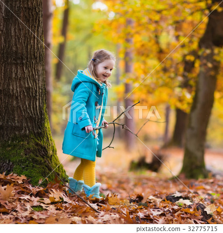 图库照片: child in fall park. kid with autumn leaves.