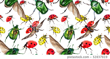 图库插图: exotic ladybug wild insect pattern in a watercolor