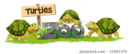 插图素材: turtles in the zoo