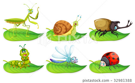 插图素材: different types of bugs on green leaves