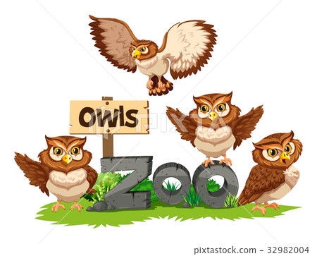 插图素材: four owls in the zoo 查看全部