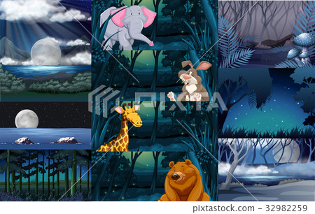 插图素材: wild animals in the forest