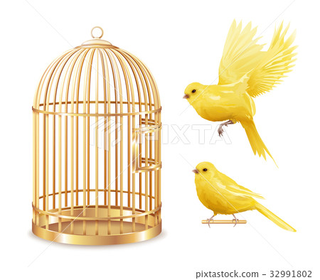 插图素材: golden canary cage set