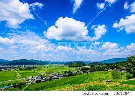 图库照片: 乡村风光 农村场景 夏天