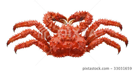 图库照片: red brown king crab isolated on white background