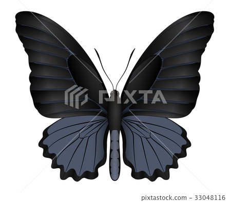 姿势/表情/动作 姿势 飞吻 插图 beautiful butterfly isolated on a