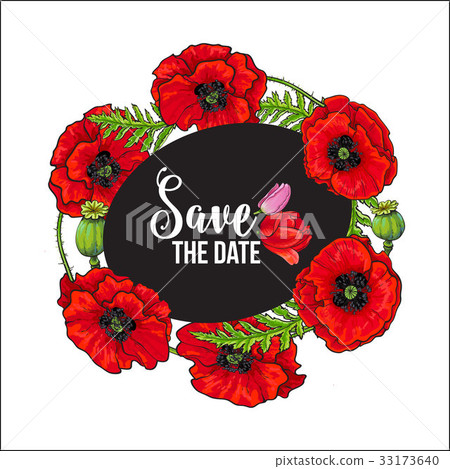 插图素材: vector red poppy flower blossom blooming template.