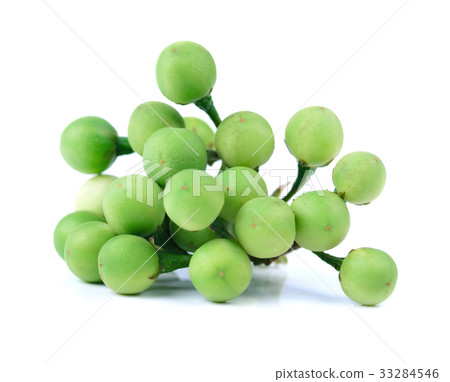 图库照片: thai eggplant on white background