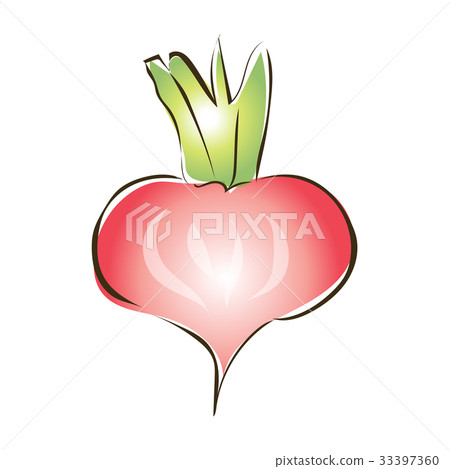 图库插图: red radish, turnip or other root vegetables