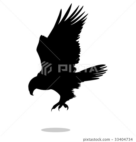 插图素材: hawk eagle falcon bird black silhouette animal