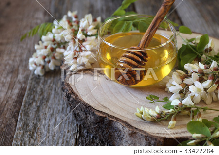 图库照片 acacia honey and flowering acacia