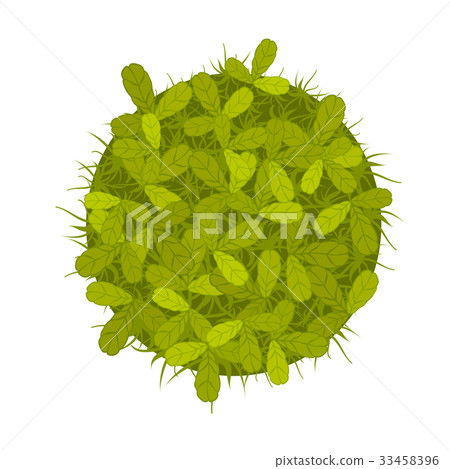 图库插图: a green plant or tree, top view. vector