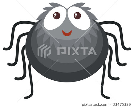 插图素材: black spider on white background