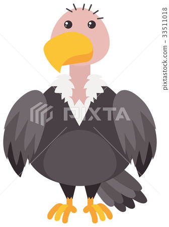 图库插图: vulture on white background