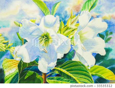 watercolor painting,figure painting 图库插图: watercolor painting realistic of herald trumpet