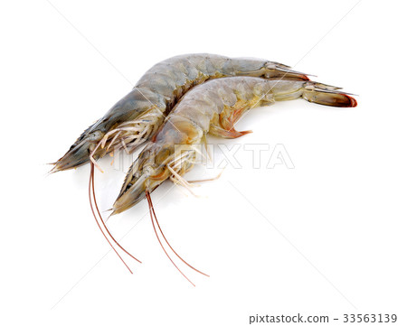 图库照片: fresh shrimp/prawn on white background