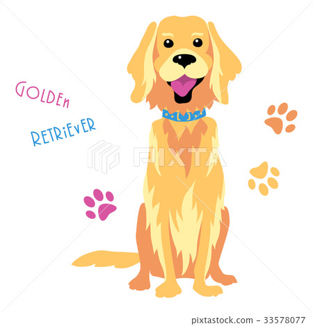 插图素材: vector sketch funny golden retriever dog sitting 查看