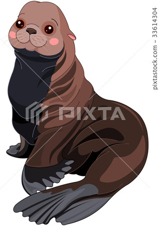 插图素材: fur seal