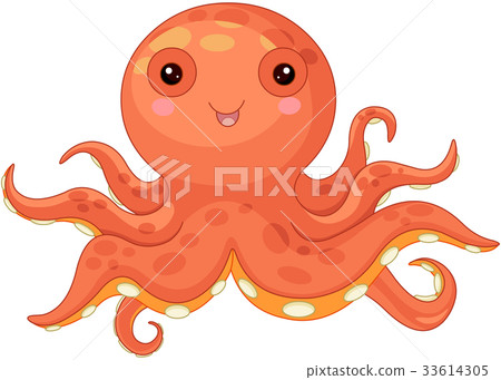 图库插图: octopus