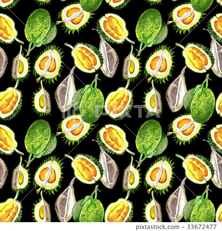 插图素材: exotic durian wild fruit pattern in a watercolor