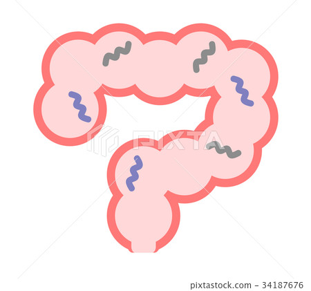 插图素材: 小肠 微生物 病毒