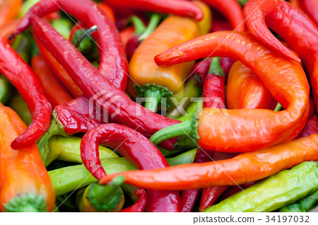 图库照片: colorful hot peppers harvest. beautiful green red