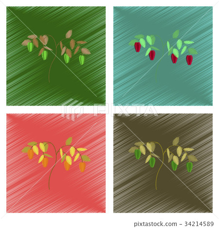 插图素材: assembly flat shading style illustration plant