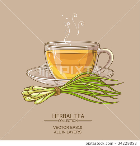 billy of tea,Billybilly 插图素材: cup of lemongrass tea