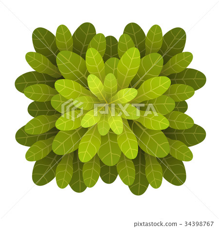 图库插图: a green plant or tree, top view. vector