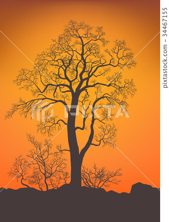 插图素材: bare tree and bushes.