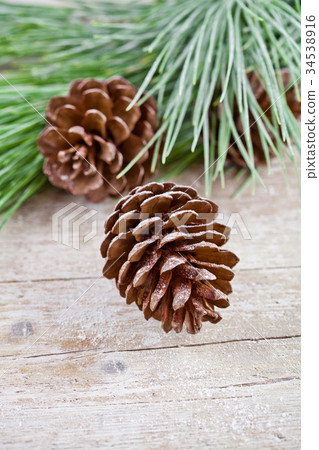图库照片: christmas fir tree with pinecones