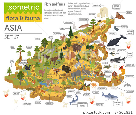 插图素材: isometric 3d asian flora and fauna map constructor