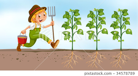 插图素材: farmer planting in the field