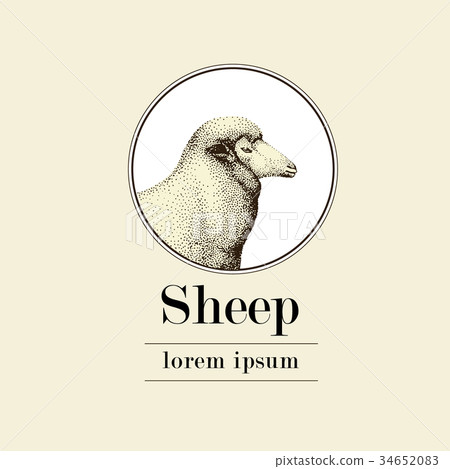 图库插图: sheep, logo template, vector hand drawn