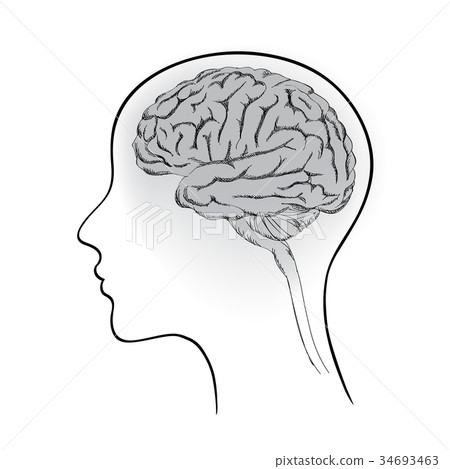 插图素材: female brain in head sign. think icon concept