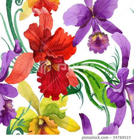 插图素材: wildflower orchid flower pattern in a watercolor